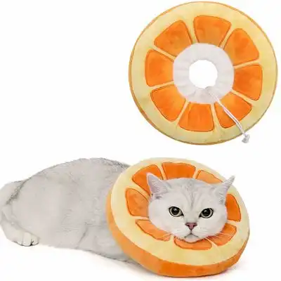 FurryFusion Collar cónico ajustable para gatos - Artículo 1 - Furry Fusion - Comparador de precios