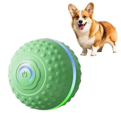 IntiMeg  inteligente para perros - Verde - IntiMeg - Comparador de precios