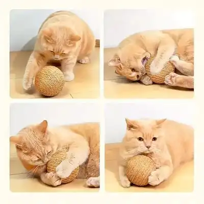 MCBOSON Pelota de juguete de sisal para gatos - 10 cm - Mcboson - Comparador de precios