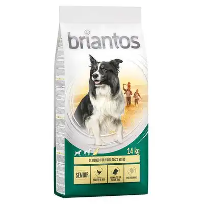 Briantos Senior con ave y arroz - 14 kg - briantos - Comparador de precios