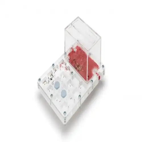 Hormiguero Hori-Acri tipo seta con zona de forrajeo pequeño - Anthouse - Comparador de precios