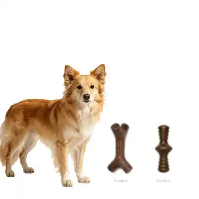 MCBOSON Juego 2 platos comida perros pequeños sabor tocino arce (13,6 kg) - 1 artículo - Mcboson - Comparador de precios
