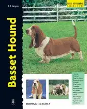 Basset Hound (Excellence)