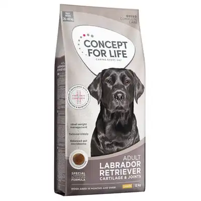 Concept for Life Labrador Retriever Adult - NUEVO: 12 kg - Concept for Life - Comparador de precios