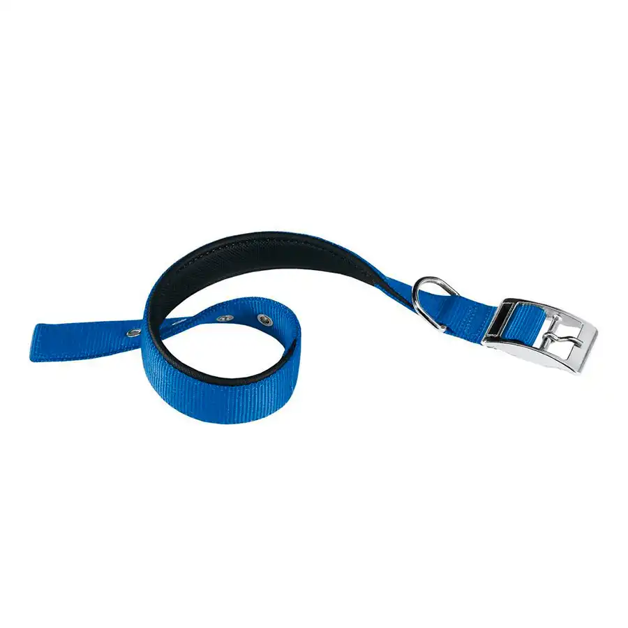 Ferplast Daytona Collar de Nylon Azul para perros