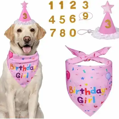 FurryFusion Decoración de cumpleaños para perros con gorro numerado - Artículo 1 - Furry Fusion - Comparador de precios