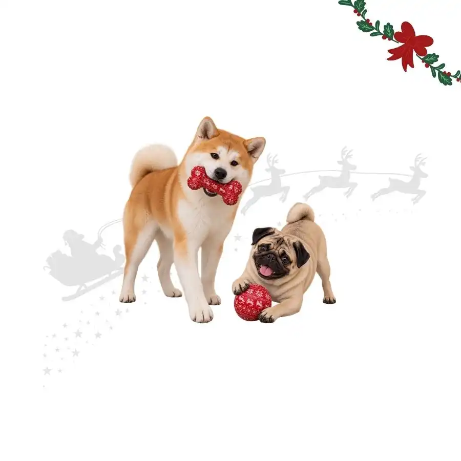 Wonder Christmas Hueso y Pelota  para perros 2 uds. - Wonder Christmas - Comparador de precios
