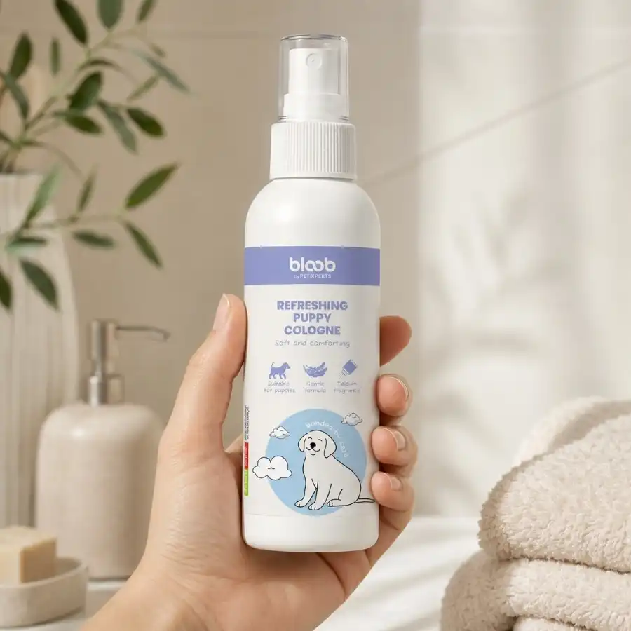Bloob Colonia Refrescante para cachorros 125 ml - Bloob - Comparador de precios