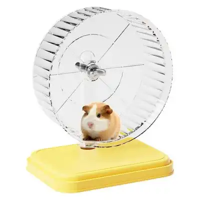 IntiMeg rueda de carreras de cobayas - Una pieza - IntiMeg - Comparador de precios