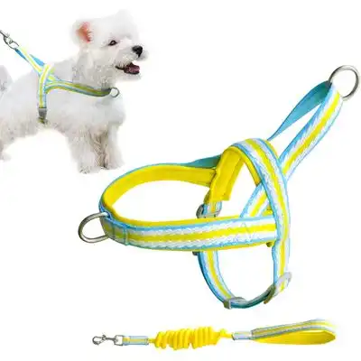 UAMLY Arnés para perro con correa (amarillo) - Amarillo M - Uamly - Comparador de precios