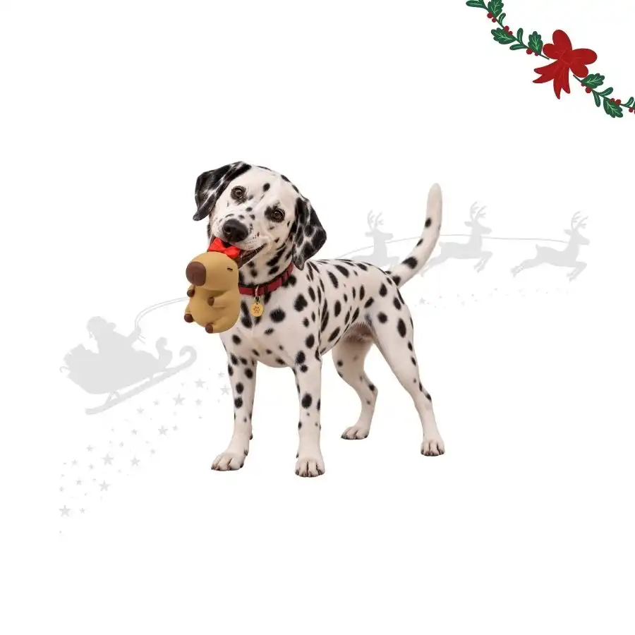 Wonder Christmas Capibara Látex Peluche para perros 12 x 7.5 x 6.5 cm - Wonder Christmas - Comparador de precios