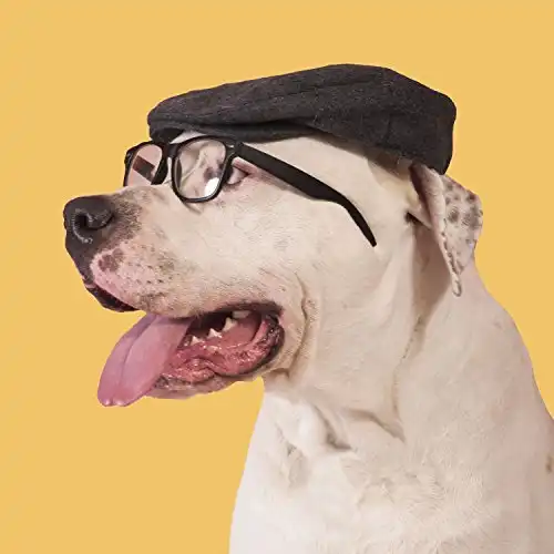 Tarjeta Perro con gorro y gafas