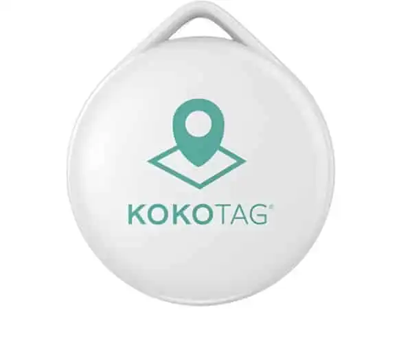 KOKOTAG Identificador y localizador para perros - 4 x 4 cm - KOKO - Comparador de precios