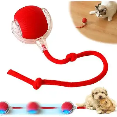 Pawffee Pelota interactiva automática gatos, rodante, juego estimulación - 1 pieza - Pawffee - Comparador de precios
