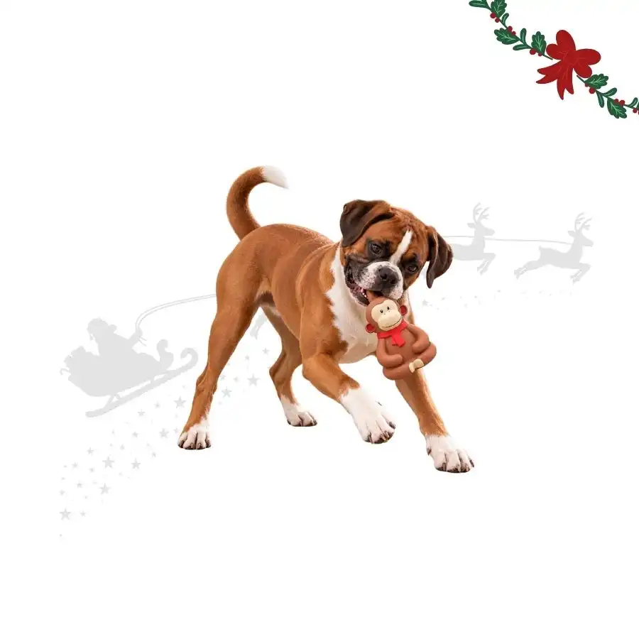 Wonder Christmas Mono Látex  para perros 12 x 9.5 x 8 cm - Wonder Christmas - Comparador de precios