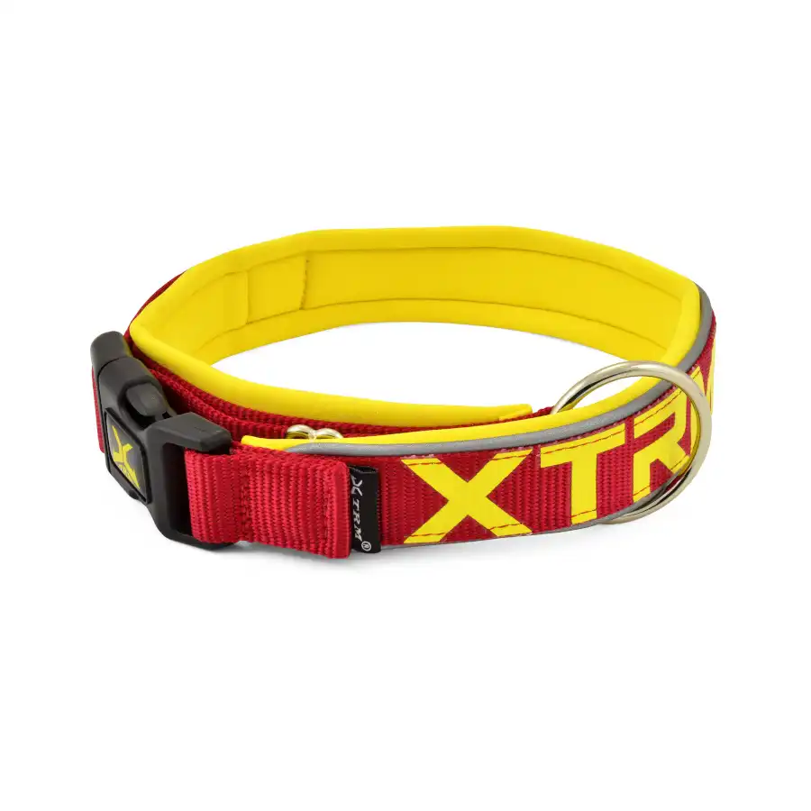 X-TRM Neón Flash Collar Rojo y Amarillo para perros - Nayeco - Comparador de precios
