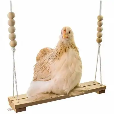 ZooVenture Columpio de gallina y juguete de pájaro - 1 pieza - Zooventure - Comparador de precios