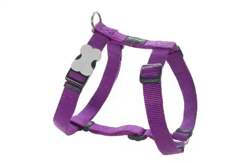 Arnés Red Dingo Classic Morado XXL