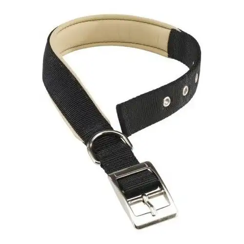 Ferplast Daytona Collar Negro para perros - ferplast - Comparador de precios