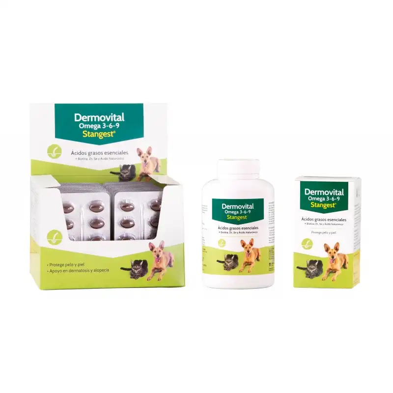 Dermovital Omega 3-6-9 60 cápsulas - Stangest - Comparador de precios