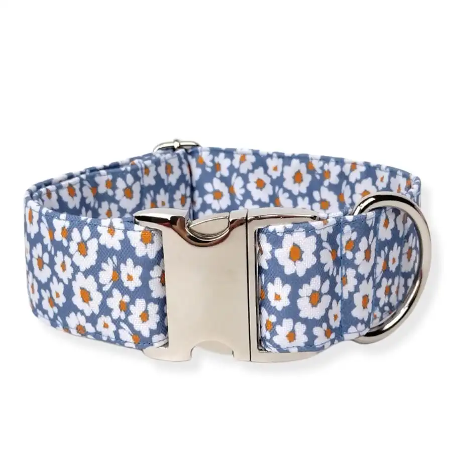 Collar para perro "Margaritas" T.M/hebilla metálica/ azul - Collares Donkys - Comparador de precios