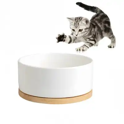 IntiMeg Bebedero termorregulado para gatos y perros - Blanco - IntiMeg - Comparador de precios