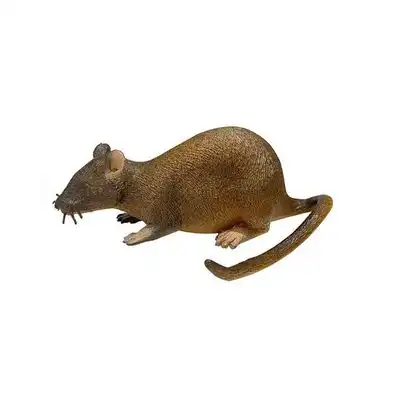 IntiMeg Ratón de goma flexible - Una pieza - IntiMeg - Comparador de precios