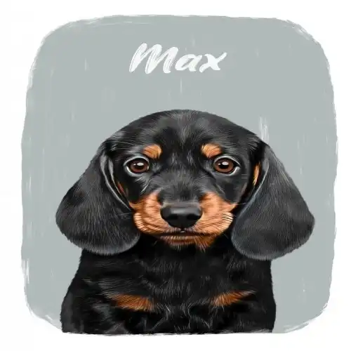 Mascochula max retrato realista personalizado en digital con tu mascota gris - Mascochula - Comparador de precios