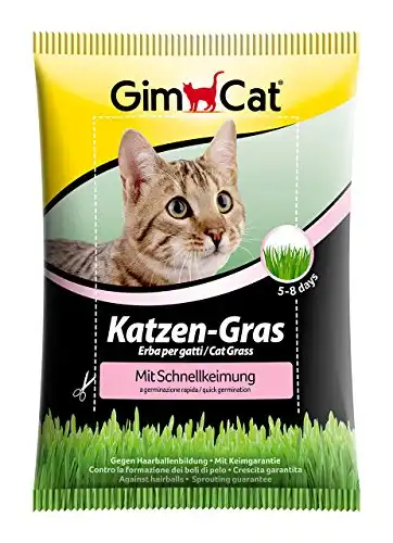 Hierba para gatos Gimpet bolsa