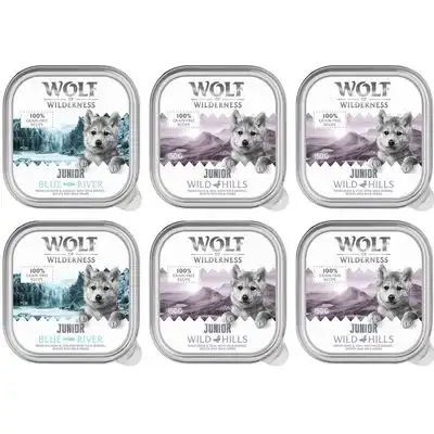 Wolf of Wilderness JUNIOR - Receta duoproteica 6 / 24 x 150 g en tarrinas - 6 x 150 g: 4 x pato y ternera, 2 x pollo y salmón - Wolf of Wilderness - Comparador de precios