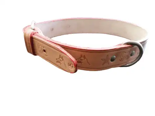 Collar Cuero Seleiro Anta Nº8 - Seleiro Anta - Comparador de precios