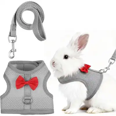 HausPets Arnés suave ajustable correa elástica, conjunto arnés correa - Gris - HausPets - Comparador de precios