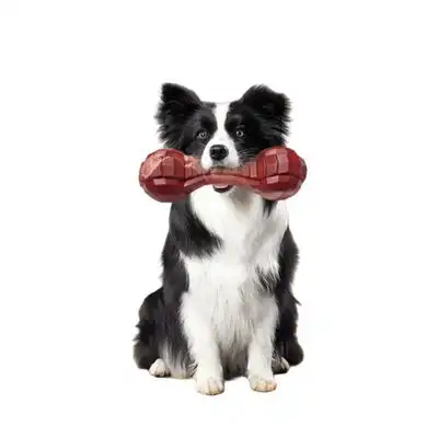 FurryFusion Hueso nailon serrado perros tamaño mediano, apto perros pasta - Artículo 1 - Furry Fusion - Comparador de precios