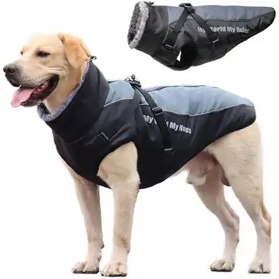 IntiMeg Abrigo impermeable para perros - 4XL - IntiMeg - Comparador de precios