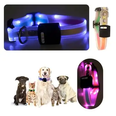 IntiMeg Collar para mascotas con luz LED - Azul - IntiMeg - Comparador de precios