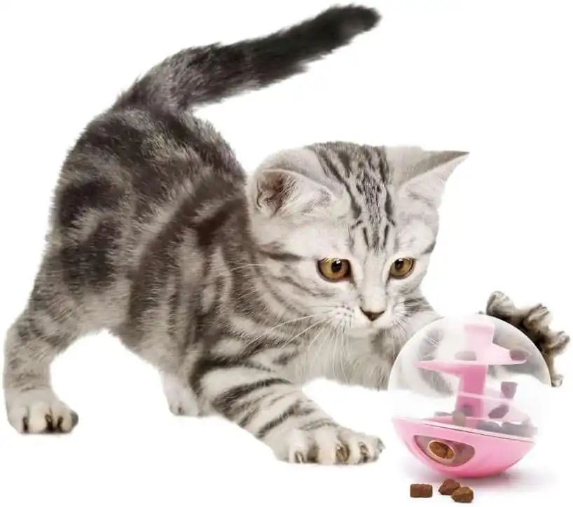 Bola dispensadora de golosinas para gatos Catit Rosa - Catit - Comparador de precios