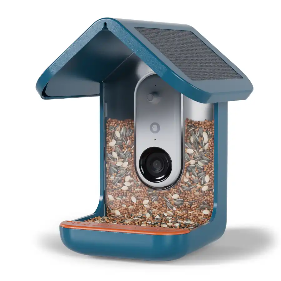 Bird Buddy comedero con cámara y techo solar para aves silvestres - 16 x 17,5 x 23 cm (L x An x Al) - Bird Buddy - Comparador de precios
