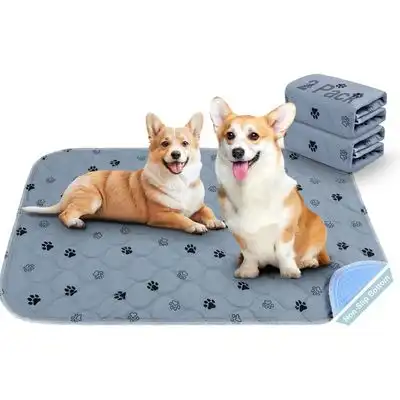 IntiMeg Almohadilla de entrenamiento para perros - 2 unidades - IntiMeg - Comparador de precios