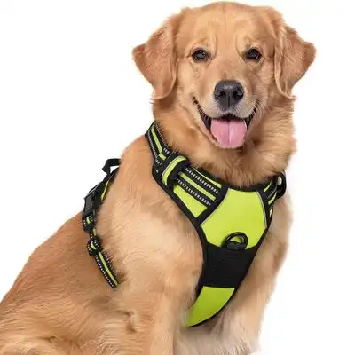 IntiMeg Arnés antitirones para perros - S - IntiMeg - Comparador de precios