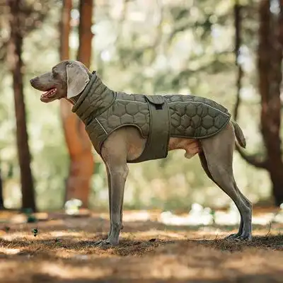 IntiMeg Chaqueta de invierno para perros - 2XL - IntiMeg - Comparador de precios