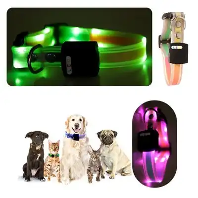 IntiMeg Collar para mascotas con luz LED - Verde - IntiMeg - Comparador de precios