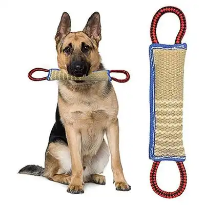 IntiMeg Palo masticable para perros con 2 asas - Una pieza - IntiMeg - Comparador de precios