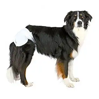 Pañales para perros ultra absorbentes M - Trixie - Comparador de precios