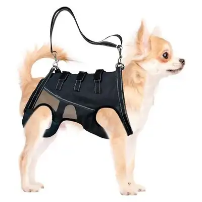 IntiMeg Arnés de elevación para perros discapacitados - L - IntiMeg - Comparador de precios