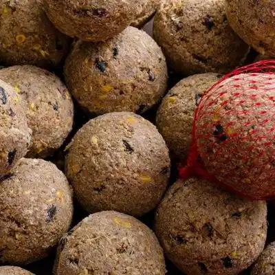 KLASEBO Bolas de grasa Premium con insectos y red - 200 x aprox. 90 g - Klasebo - Comparador de precios