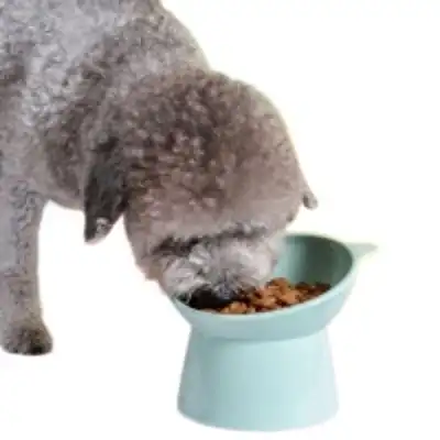 MCBOSON Comedero para gatos inclinado, elevado y antivómito - 1 artículo - Mcboson - Comparador de precios