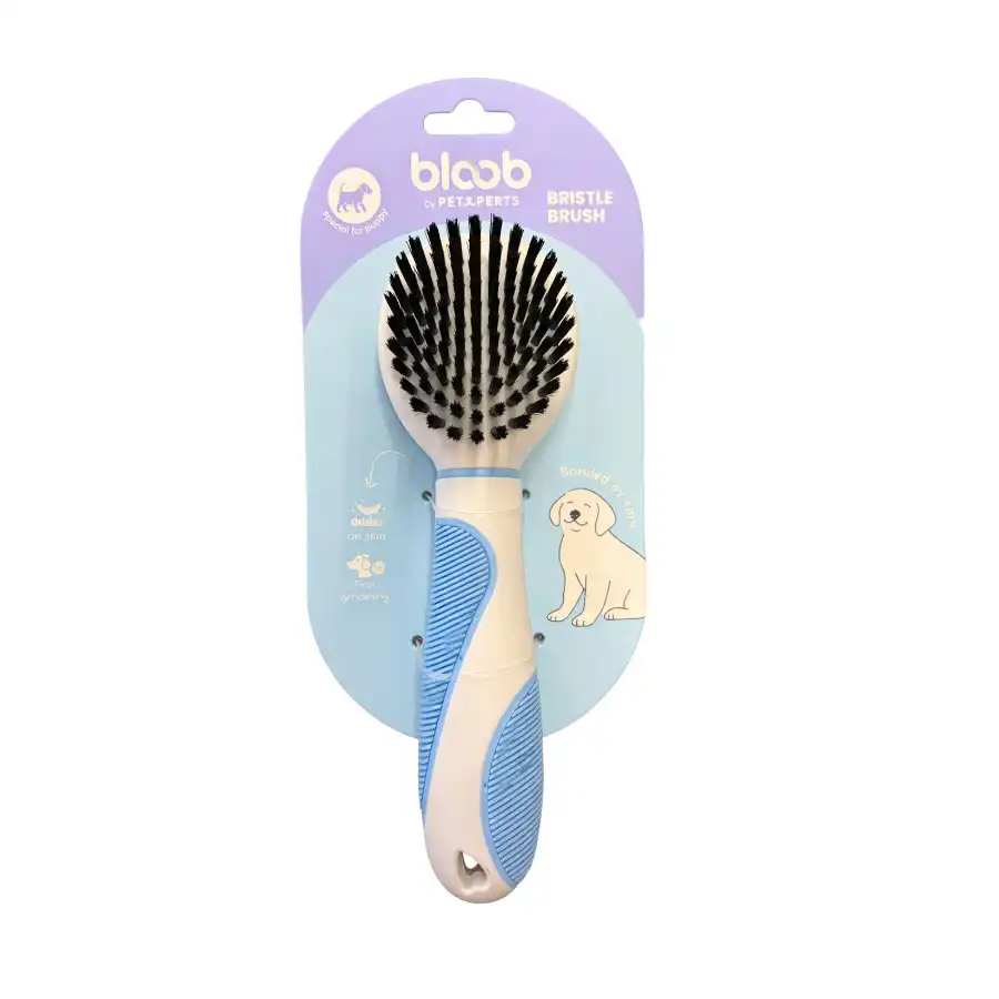 Bloob Cepillo Suave para cachorros - Bloob - Comparador de precios