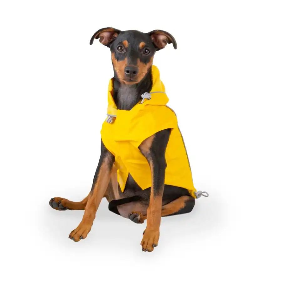 Outech Fisher Impermeable amarillo para perros