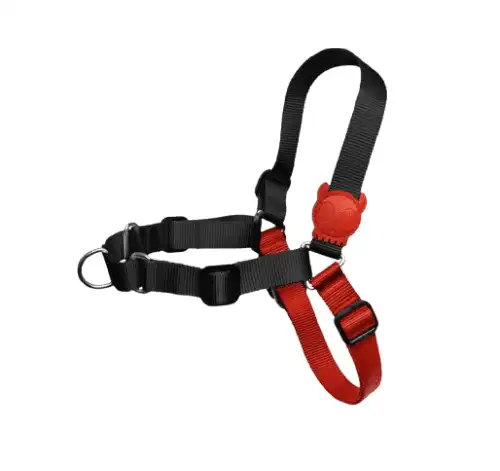 Arnés Zee.dog SOFT-WALK FATBOY M - Zee.dog - Comparador de precios