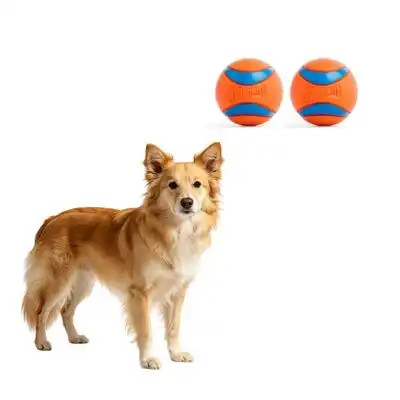 MCBOSON Tamaño mediano, juego de 2, todas razas, juguete perros Ultra Balls - 1 artículo - Mcboson - Comparador de precios